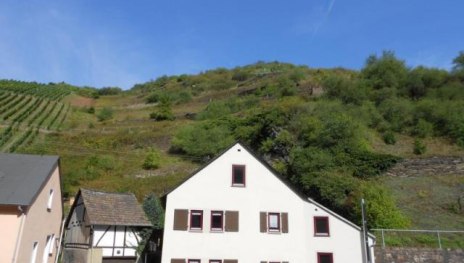 Blick auf die Weinberge vor dem Haus | © Carola Lanius Blick auf die Weinberge vor dem Haus | © Carola Lanius