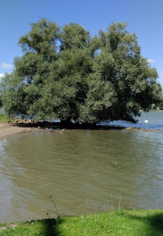 Rettbergsaue_4 | © https://campingfreunde-rettbergsau.de/ Rettbergsaue_4 | © https://campingfreunde-rettbergsau.de/