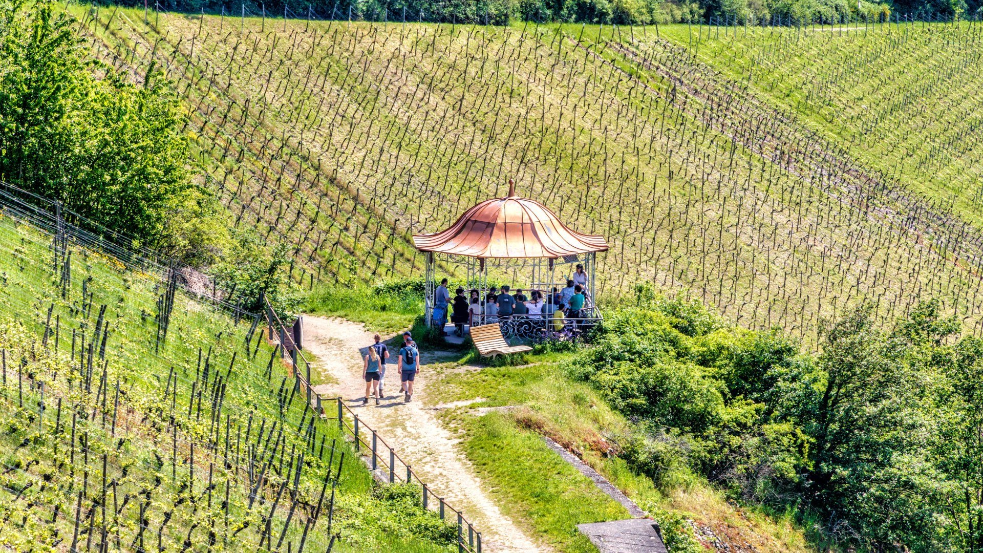 Rotweinlaube in Assmannshausen | © Marlis Steinmetz Rotweinlaube in Assmannshausen | © Marlis Steinmetz