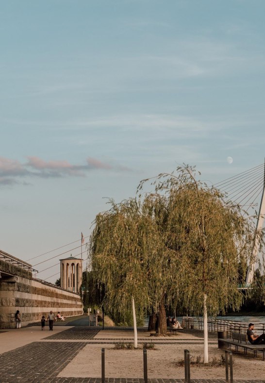 Deich mit Pegelturm und Rheinbr&uuml;cke | &copy; Zimpfer_Photography