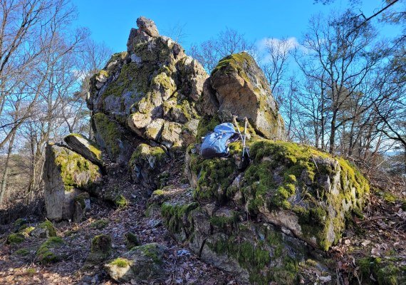 Kuckucksnacks a | &copy; E. Bender