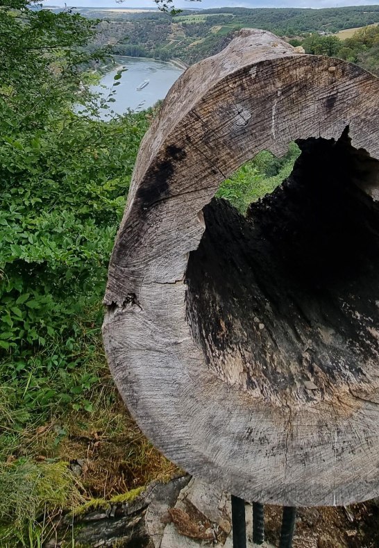 Fernrohr Lennig | © Loreley Touristik GmbH Fernrohr Lennig | © Loreley Touristik GmbH