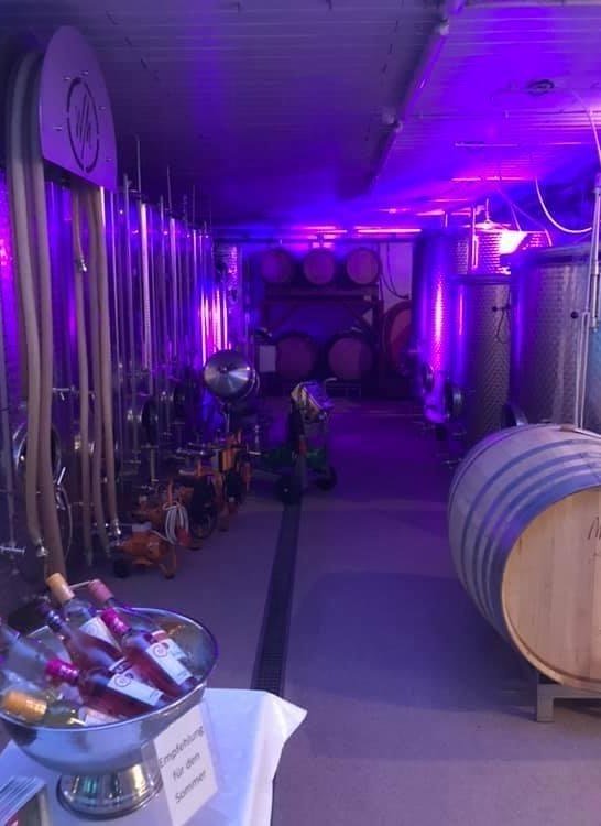 Weinhof Martin Keller | &copy; Weinhof Martin