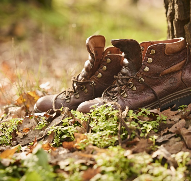 Hiking shoes | © Marco Rothbrust CC BY 4.0 Hiking shoes | © Marco Rothbrust CC BY 4.0