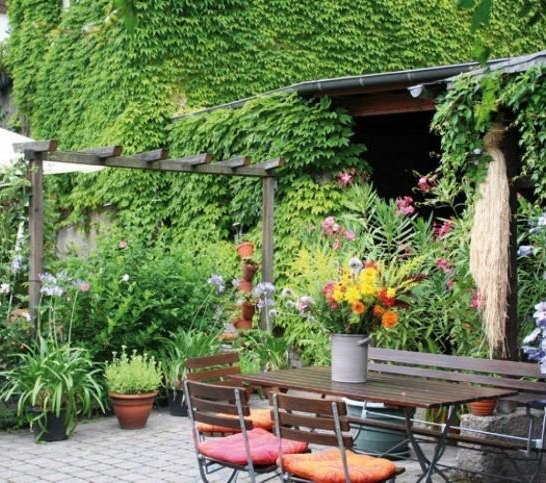 Biergarten | © Alt Andernach Biergarten | © Alt Andernach