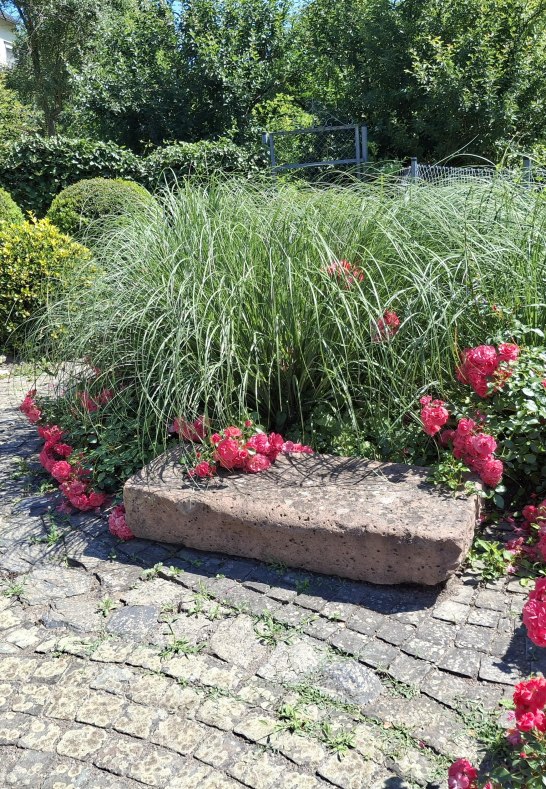 Pfarrgarten II | © RNT, Simone Bohr