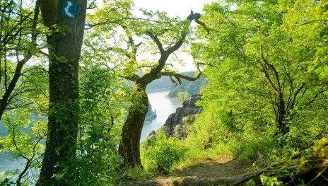 Blick auf Spitznack | © Dominik Ketz, Rheinland-Pfalz Tourismus GmbH