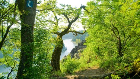 © Dominik Ketz, Rheinland-Pfalz Tourismus GmbH