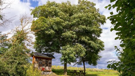 Picknickbank mit Insektenhotel am Rundweg Nr. 18 | &copy; S. Mauer
