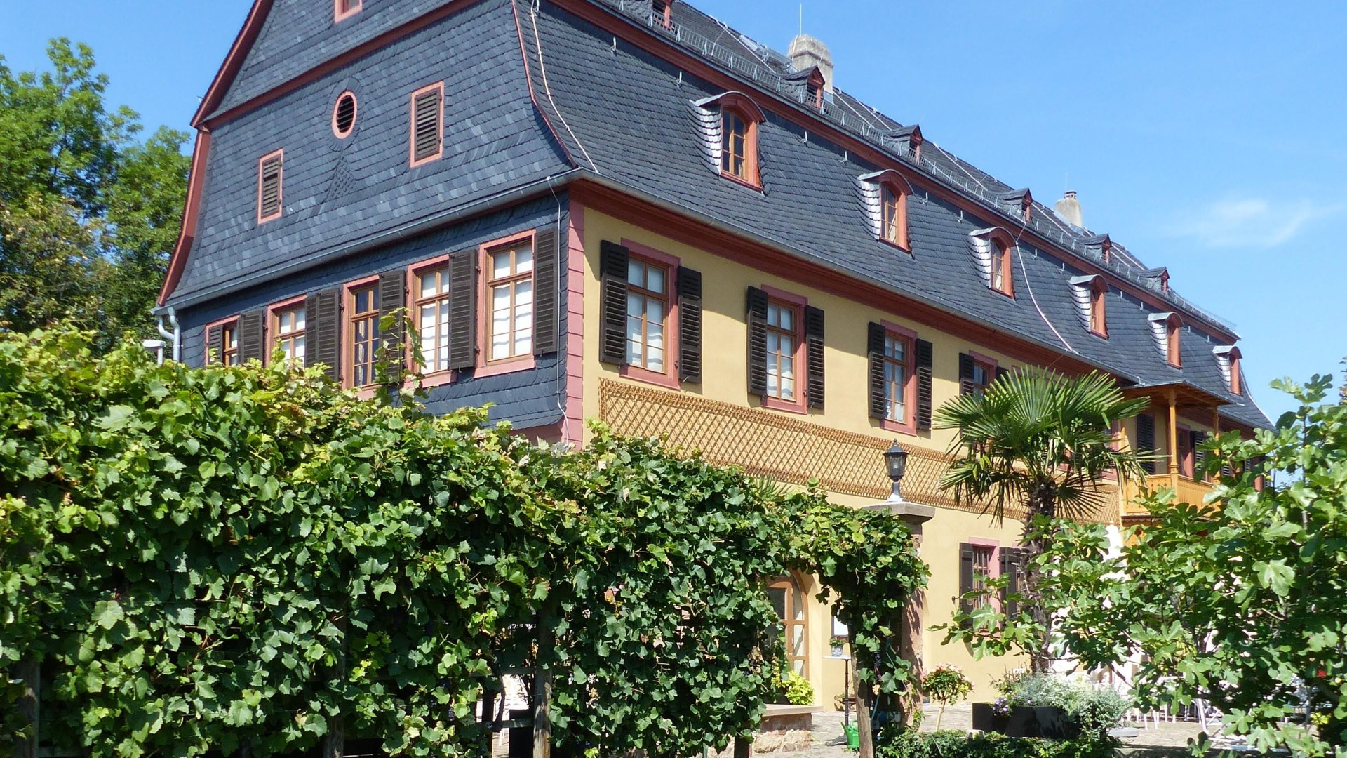 Brentanohaus | © Stephan Dreier