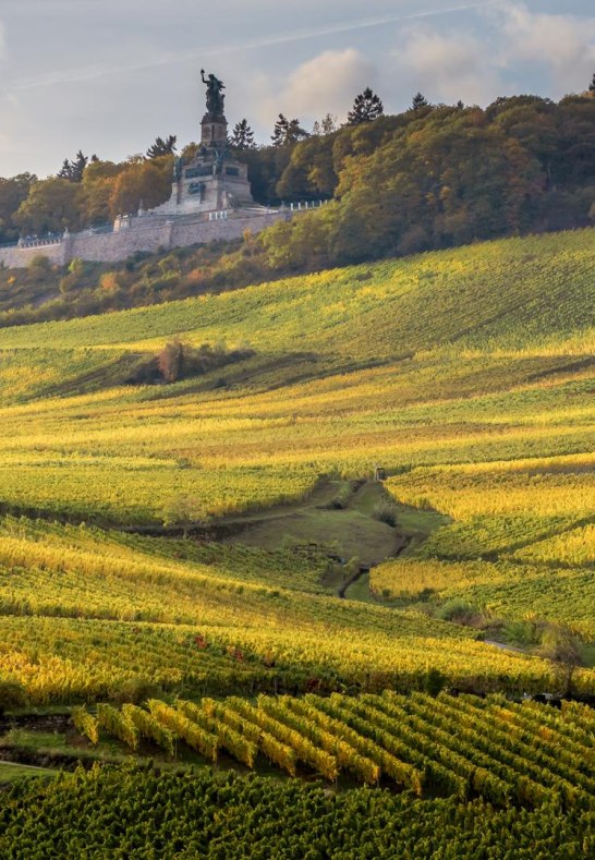 Wandbilder GK  (4) | &copy; Thomas Weinsheimer