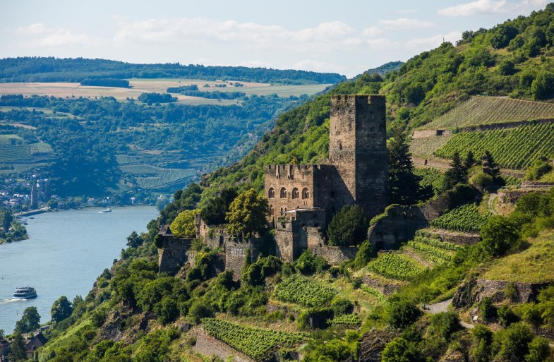 Burg Gutenfels inmitten der Weinberge | &copy; Henry Tornow/Romantischer Rhein Tourismus GmbH