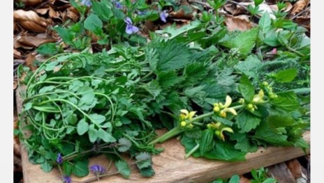 Wein | &copy; Weingut Lorenz