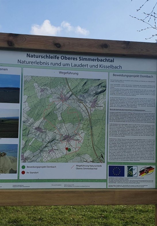 Naturschleife Oberes Simmerbachtal | © T. Biersch Naturschleife Oberes Simmerbachtal | © T. Biersch