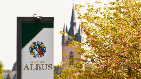 Weingut Albus | © Weingut Albus Weingut Albus | © Weingut Albus