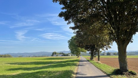 © Tourist-Information Remagen, Mittelrhein © Tourist-Information Remagen, Mittelrhein