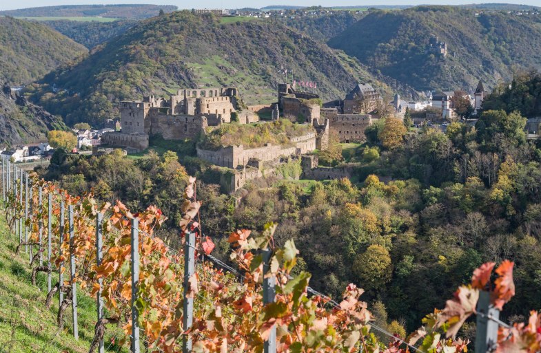 Rheinfels im Herbst | © Andreas Pacek, fototour-deutschland.de Rheinfels im Herbst | © Andreas Pacek, fototour-deutschland.de