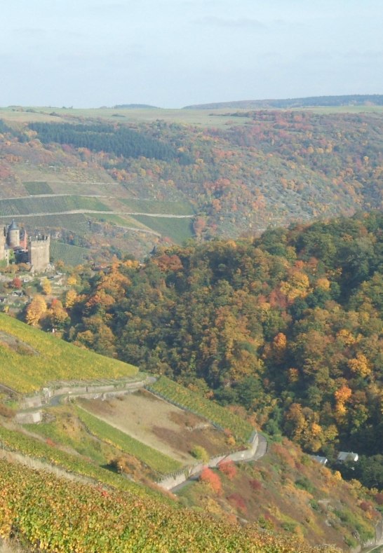 Wanderungen 015 | &copy; Carola Lanius