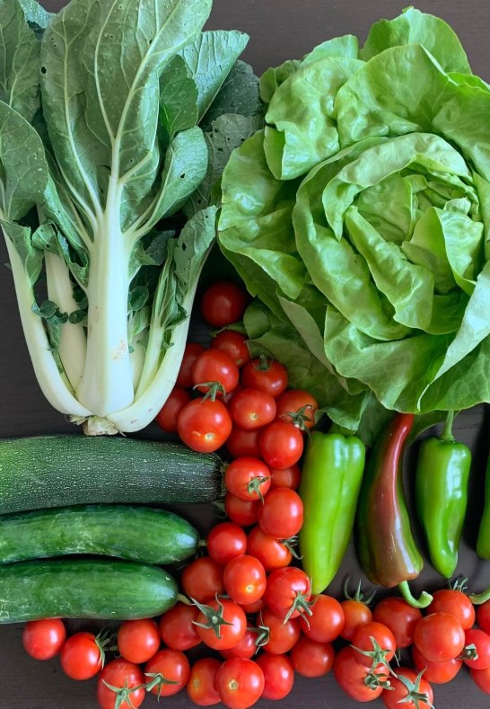 7 | © Katringer Grünzeug eG 7 | © Katringer Grünzeug eG