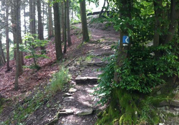 IMG_4131 | &copy; Eigentum