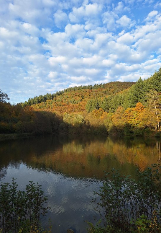 Schwanenteich im Herbst | © Rämer