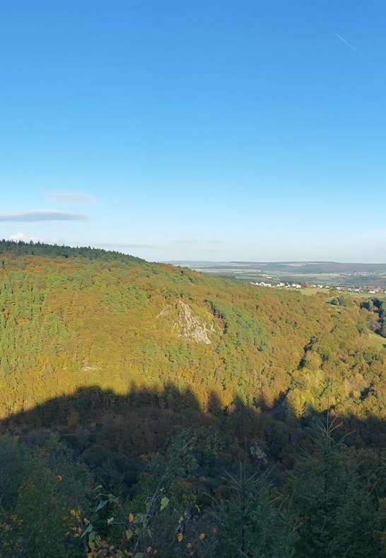 Vogelsnack im Herbst | &copy; B. Vogt