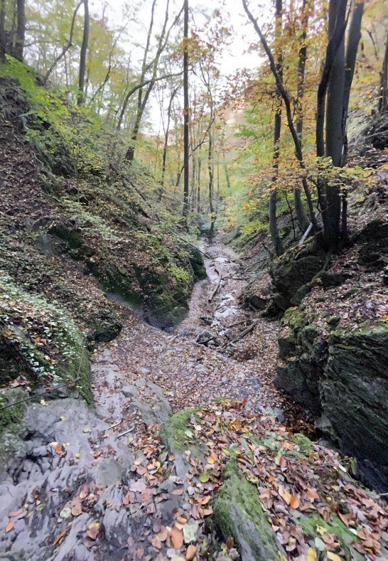 Ruppertsklamm Lahnstein 2 | © Stadt Lahnstein Ruppertsklamm Lahnstein 2 | © Stadt Lahnstein