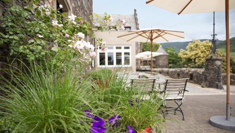 &copy; Burg Reichenstein