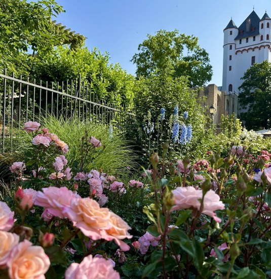Kurfürstliche Burg | © Stadt Eltville am Rhein Kurfürstliche Burg | © Stadt Eltville am Rhein