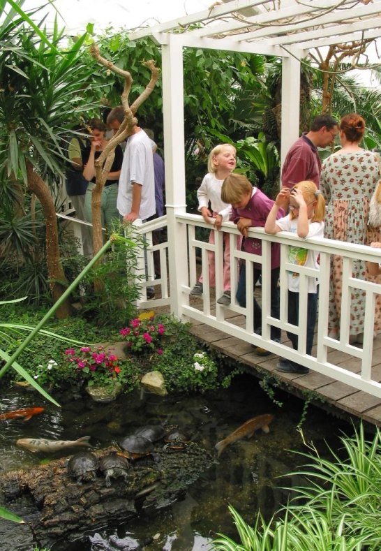 Garten der Schmetterlinge | &copy; Garten der Schmetterlinge Schloss Sayn