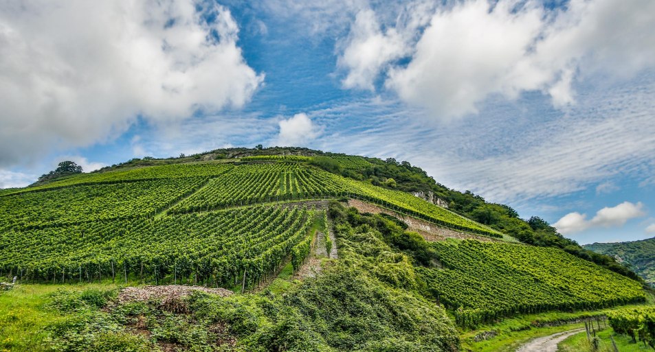 B. Hahn | © RNT, Simone Bohr B. Hahn | © RNT, Simone Bohr