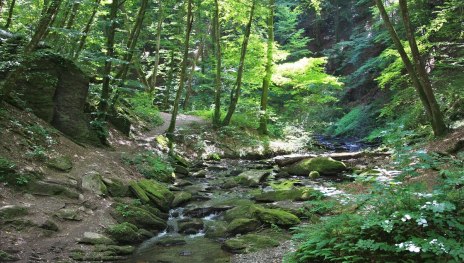 In der Ehrbachklamm | &copy; Stefan Rees