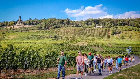 Weinwanderung | © Bianca Promotion Weinwanderung | © Bianca Promotion