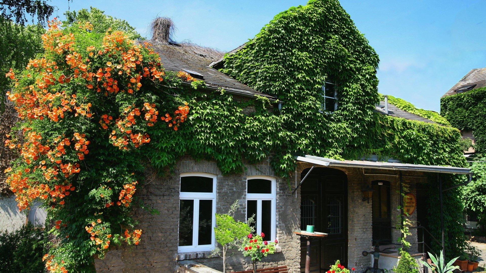 Weingut Dr. Nägler CC by Nägler | © Weingut Dr. Nägler CC by Nägler Weingut Dr. Nägler CC by Nägler | © Weingut Dr. Nägler CC by Nägler