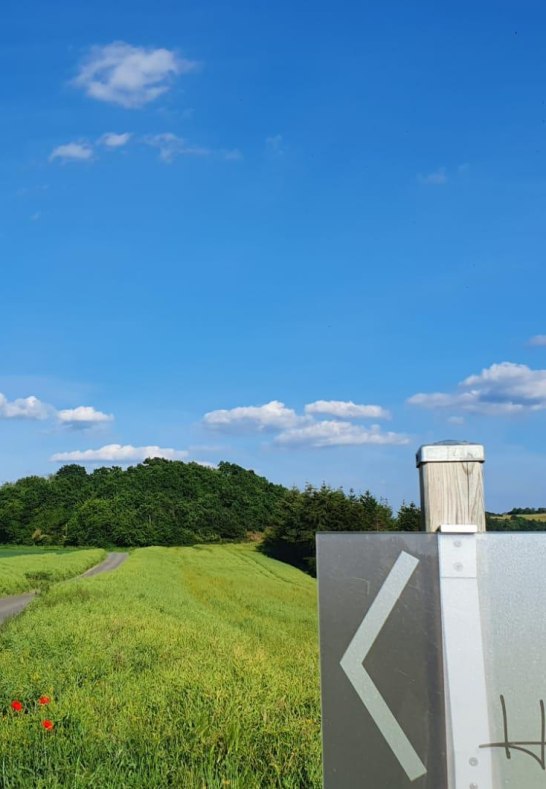 Hof.Hardth&ouml;he.Fr&uuml;hling.Zufahrt | &copy; Tourist-Information Oberwesel