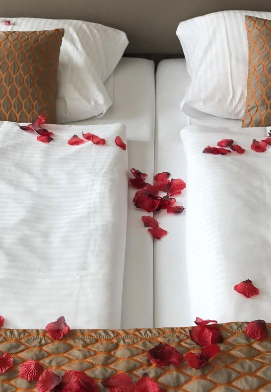 Bed of roses