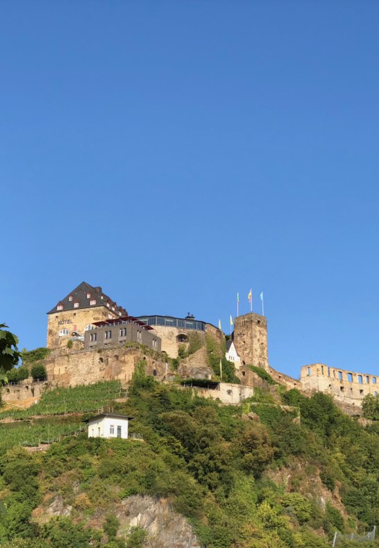 Burg Rheinfels | © rheingucken.de Burg Rheinfels | © rheingucken.de
