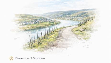 Wein | &copy; Familie Lorenz