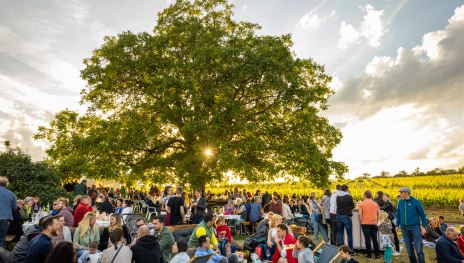 Nacht der Verf&uuml;hrung | &copy; Dominik Ketz