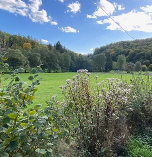 Das Aubachtal | &copy; Reiner Geisler