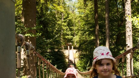 Hängebrücke Binger Wald | © Martin Kämper Quelle Stadt Bingen Hängebrücke Binger Wald | © Martin Kämper Quelle Stadt Bingen