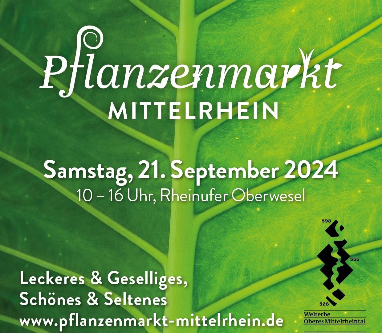 Pflanzenmarkt | © Ch. Buening