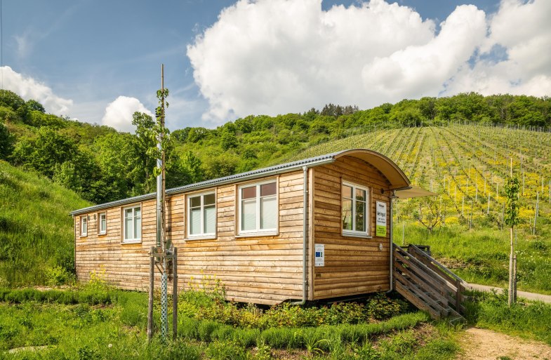 Verkaufswagen am Weingut | &copy; Dominik Ketz
