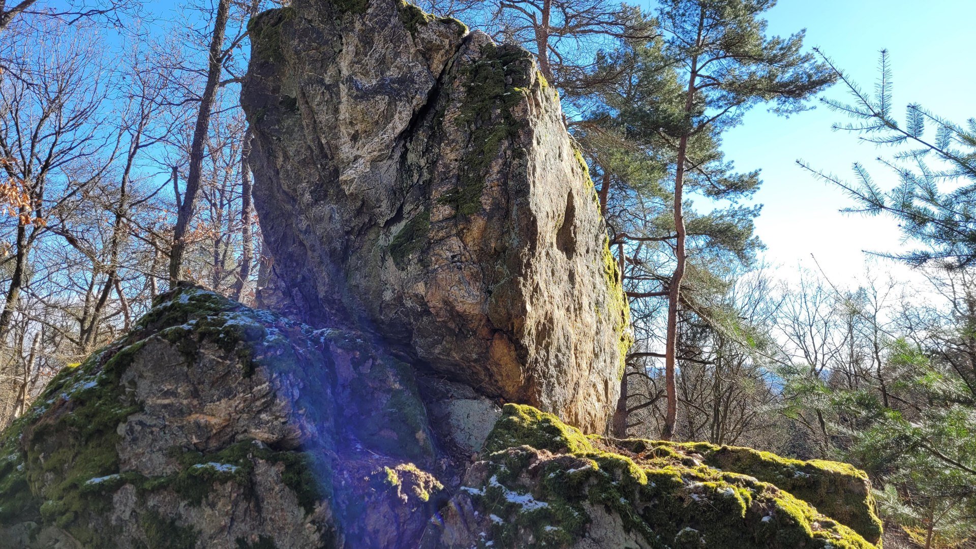 Kuckucksnacks | © E. Bender Kuckucksnacks | © E. Bender