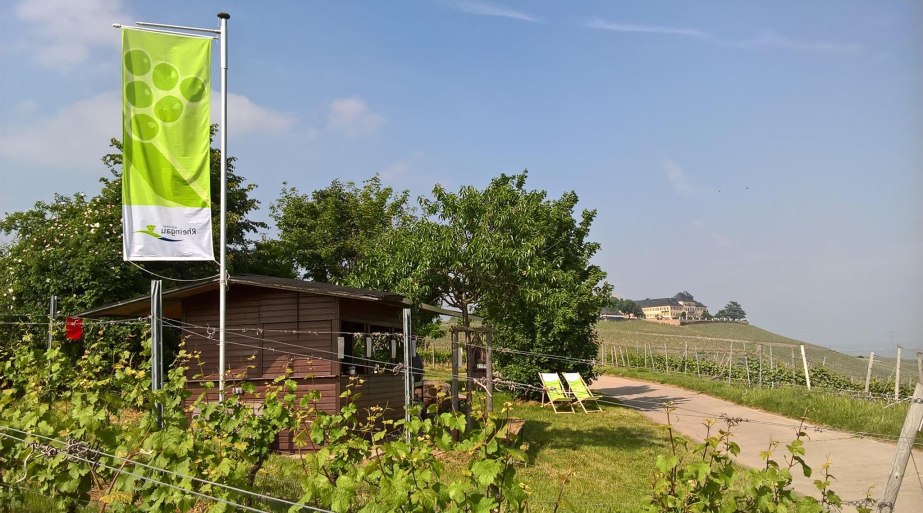 Weinprobierstand mit Blick aufs Schloss | © Weingut Abteihof St. Nicolaus Weinprobierstand mit Blick aufs Schloss | © Weingut Abteihof St. Nicolaus