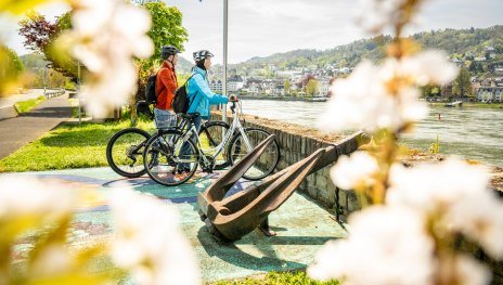 Rheinradweg bei Filsen | © Dominik Ketz, Romantischer Rhein Tourismus GmbH