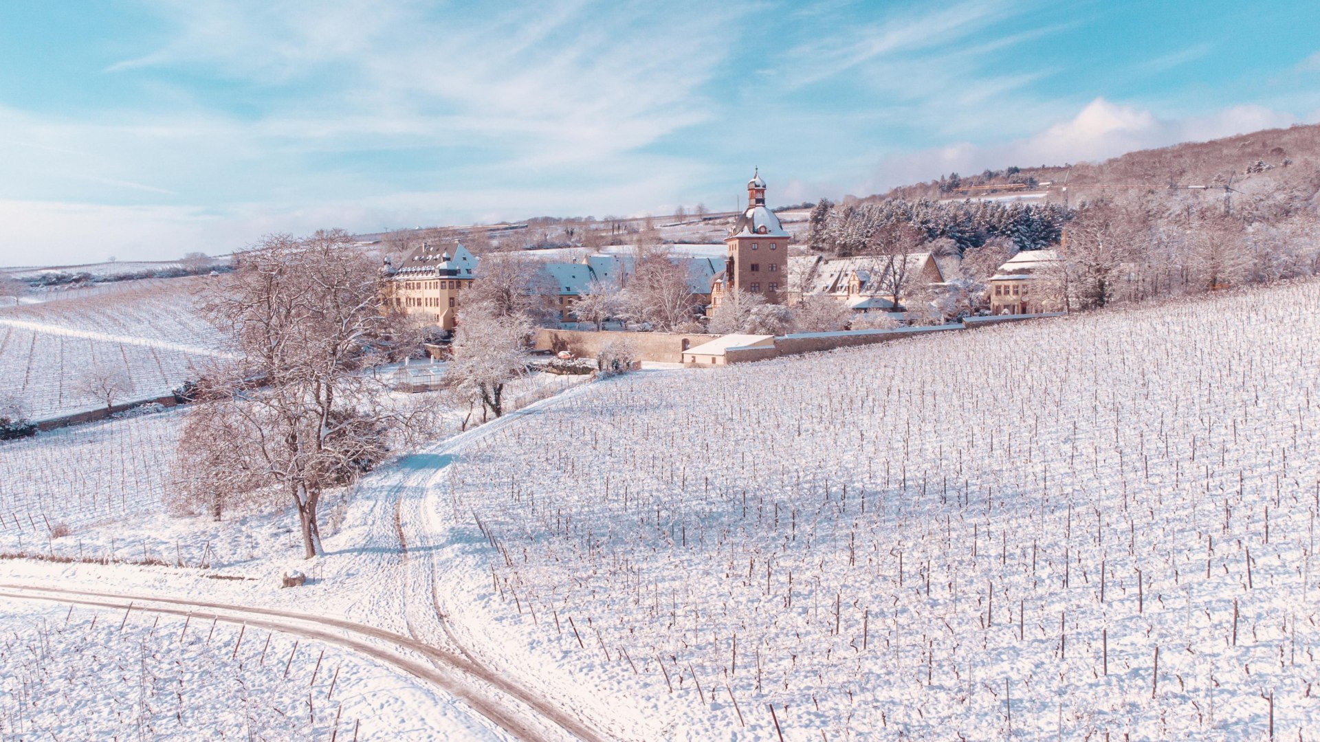Winter Schloss Vollrads | &copy; WeinsheimersWelten