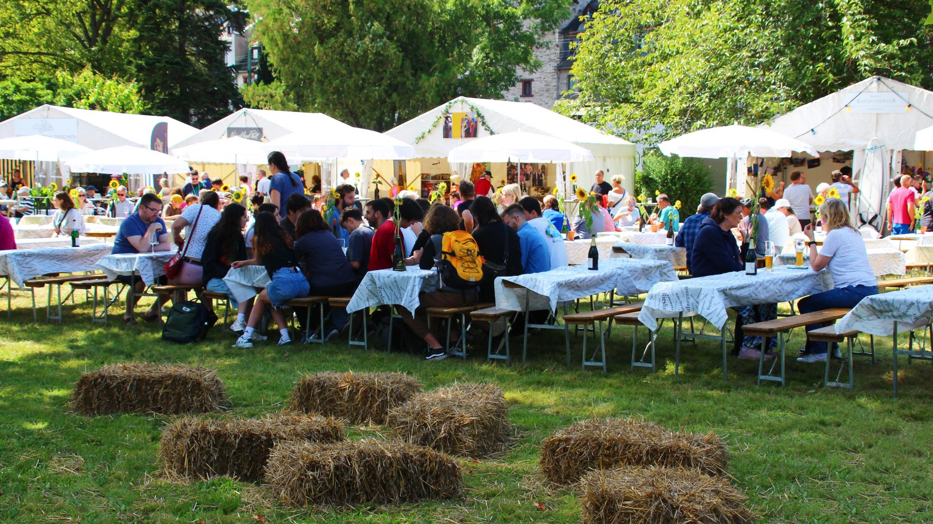 Festwiese | © RNT Festwiese | © RNT