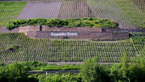 Weinberg mit Schriftzug | &copy; Petra Winkler