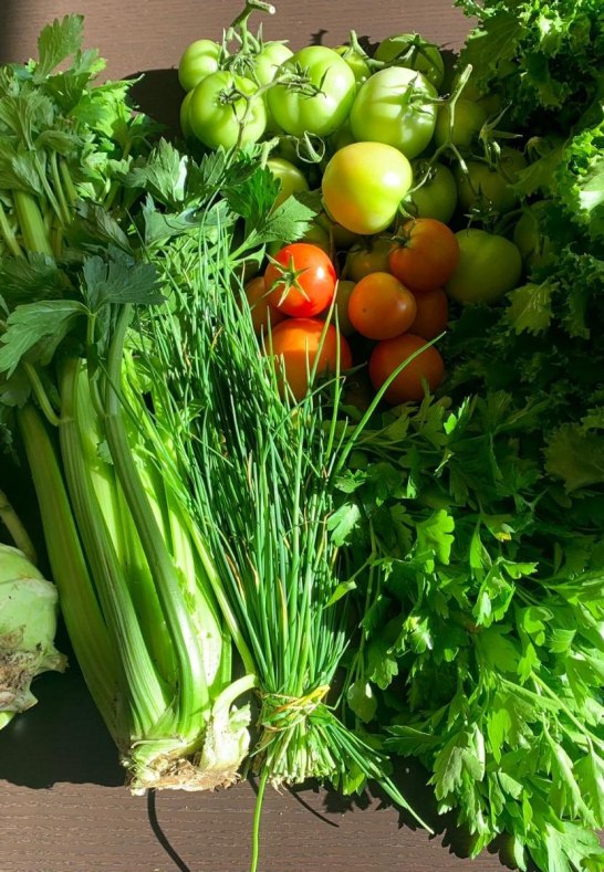 5 | &copy; Katringer Gr&uuml;nzeug eG